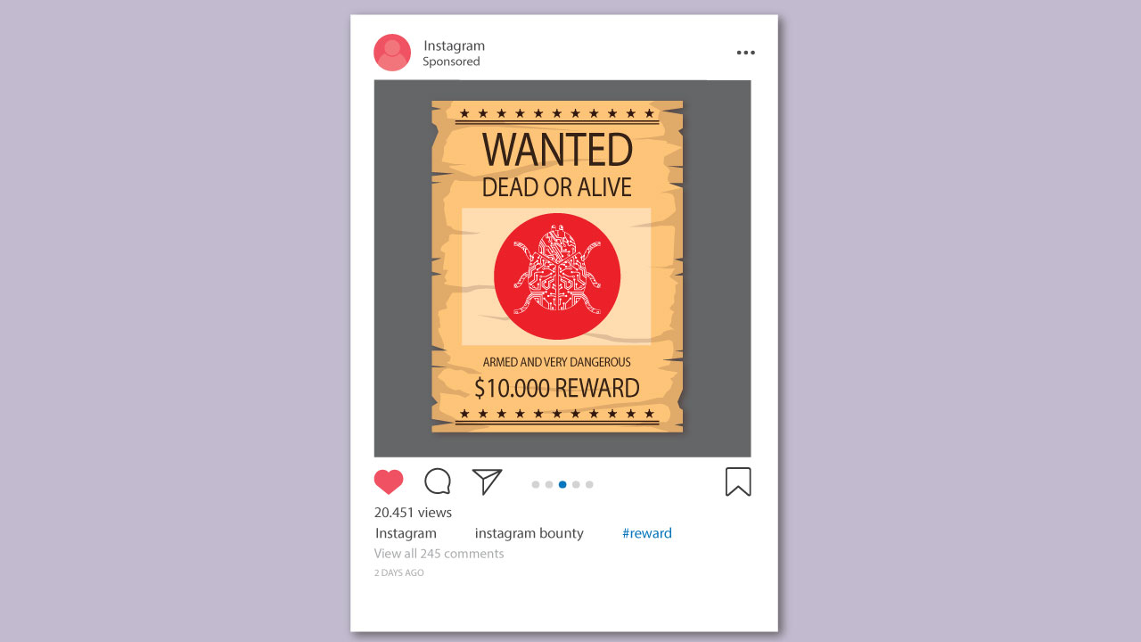 instagram bug bounty reward